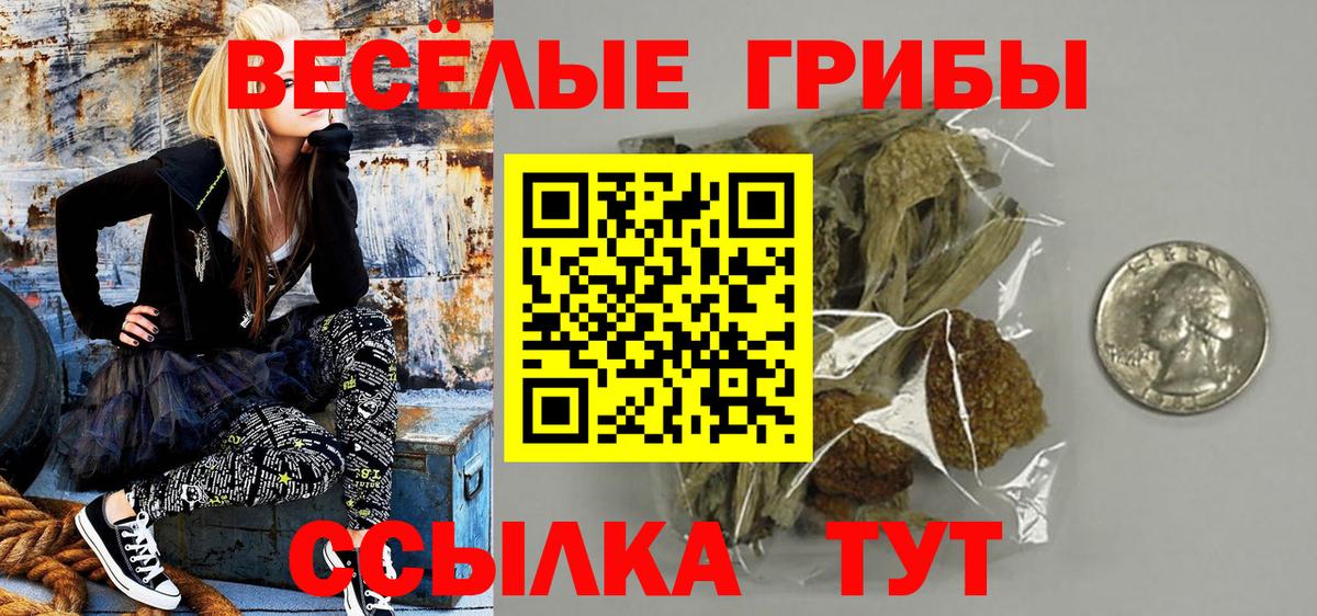 Галлюциногенные грибы Psilocybe Мегион
